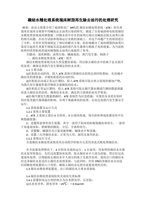 凝结水精处理系统混床树脂再生除去油污的处理研究