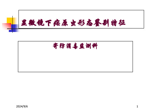 显微镜下疟原虫形态鉴别特征课件