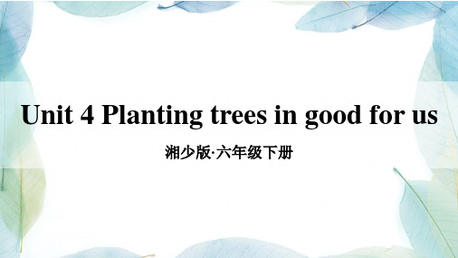 小学英语六年级下册Unit 4 Planting trees in good for us