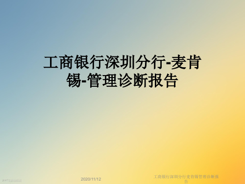 工商银行深圳分行麦肯锡管理诊断报告