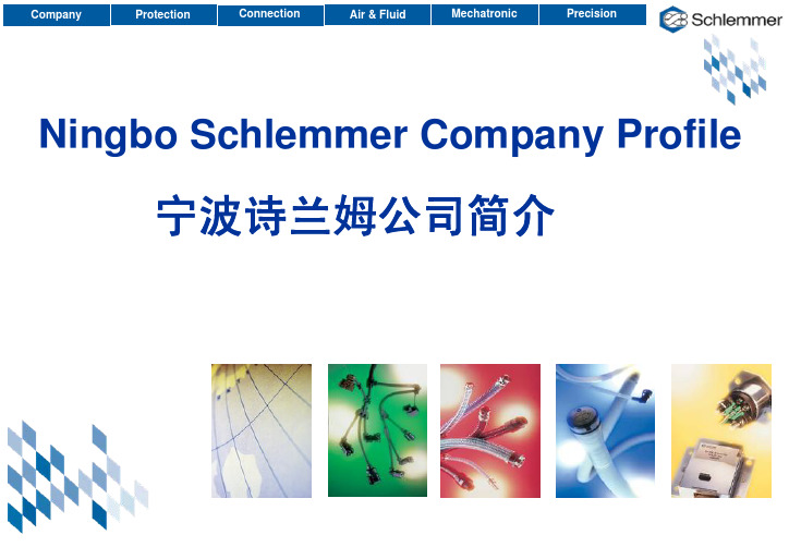 Schlemmer 公司简介 -100921