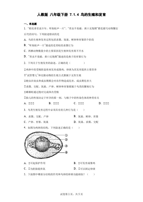 八年级下册7.1.4鸟的生殖和发育同步练习(word版含答案)