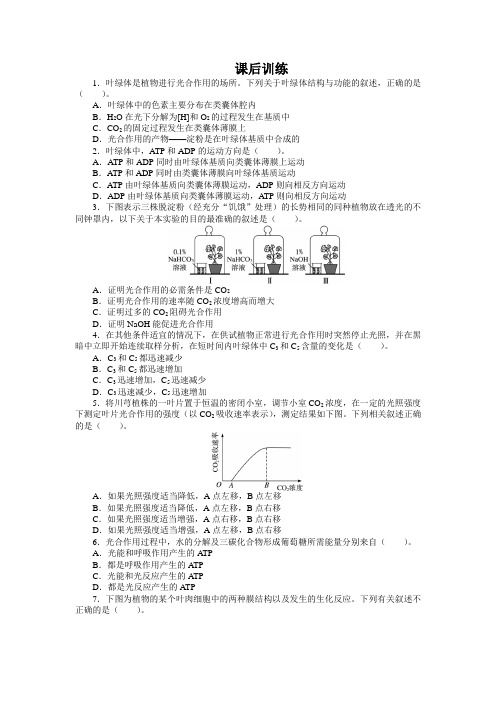 人教课标生物必修1《能量之源——光与光合作用》课后训练(第2课时)