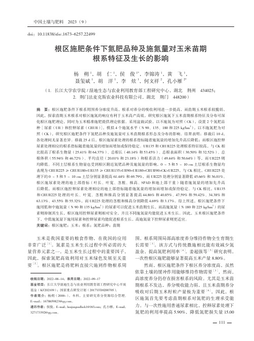 根区施肥条件下氮肥品种及施氮量对玉米苗期根系特征及生长的影响