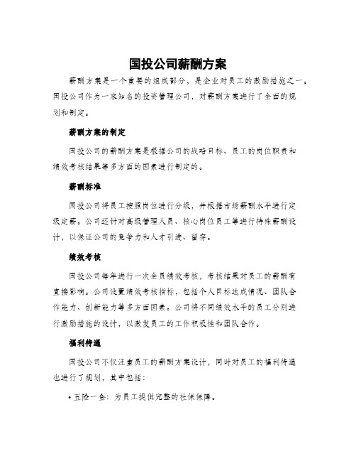 国投公司薪酬方案