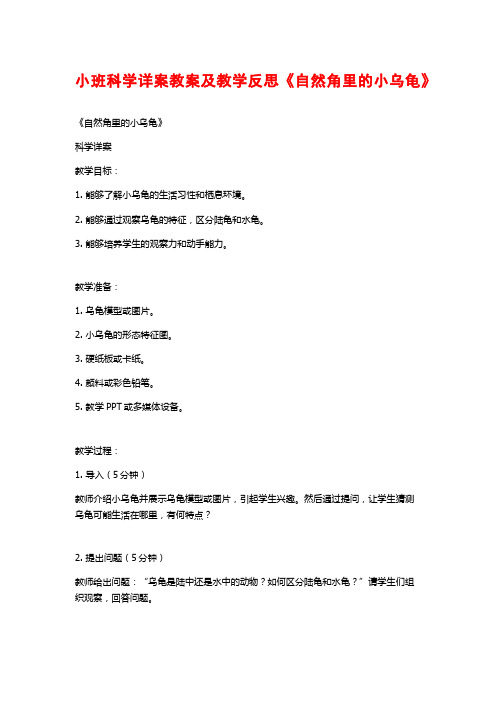 小班科学详案教案及教学反思《自然角里的小乌龟》