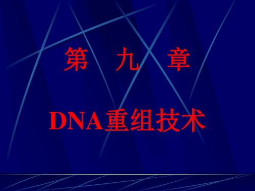 分子生物学第九章DNA重组技术