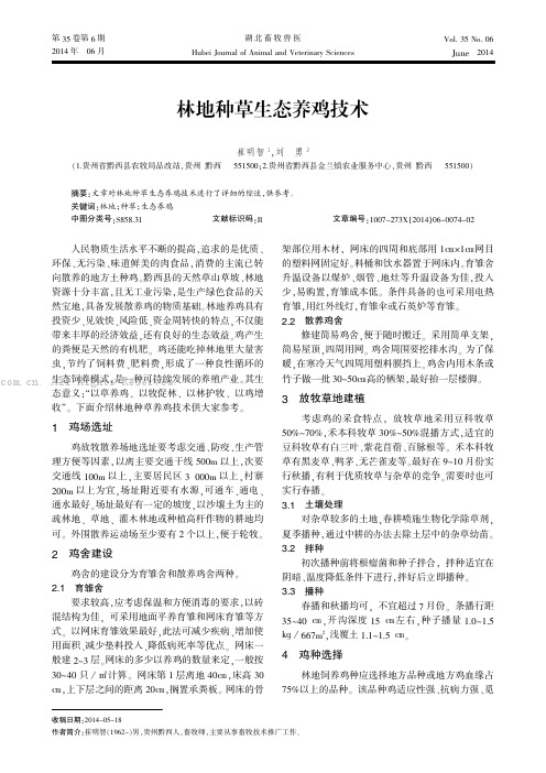 林地种草生态养鸡技术