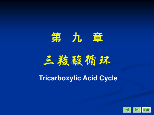 生物化学 - 第09章 三羧酸循环(07级)-文档资料