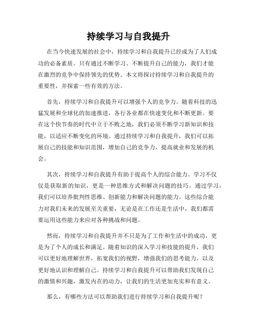 持续学习与自我提升