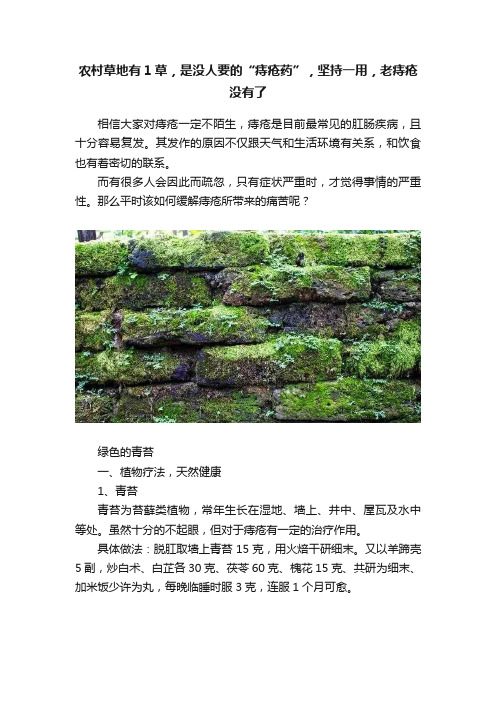 农村草地有1草，是没人要的“痔疮药”，坚持一用，老痔疮没有了