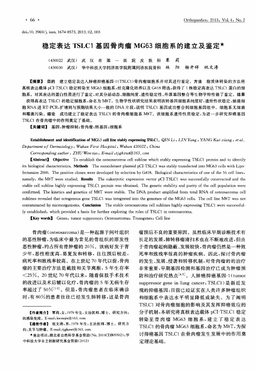 稳定表达TSLC1基因骨肉瘤MG63细胞系的建立及鉴定