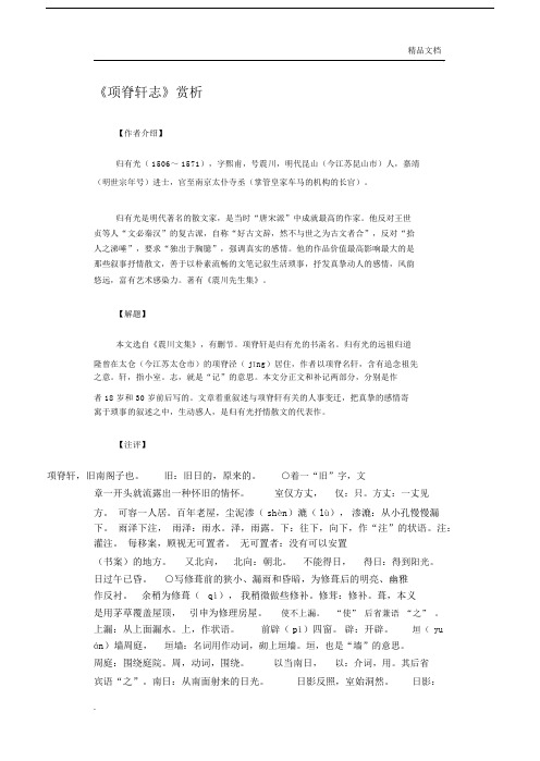 项脊轩志赏析.docx