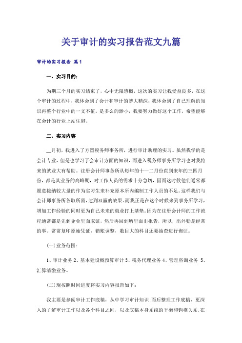 关于审计的实习报告范文九篇