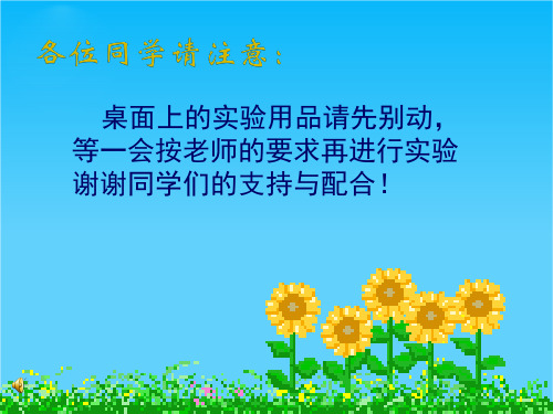 七年级生物上册 第二章第一节 细胞的生活需要物质和能量课件 人教新课标版