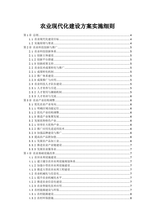 农业现代化建设方案实施细则