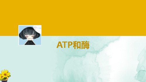 高三生物一轮复习优质课件4：ATP和酶