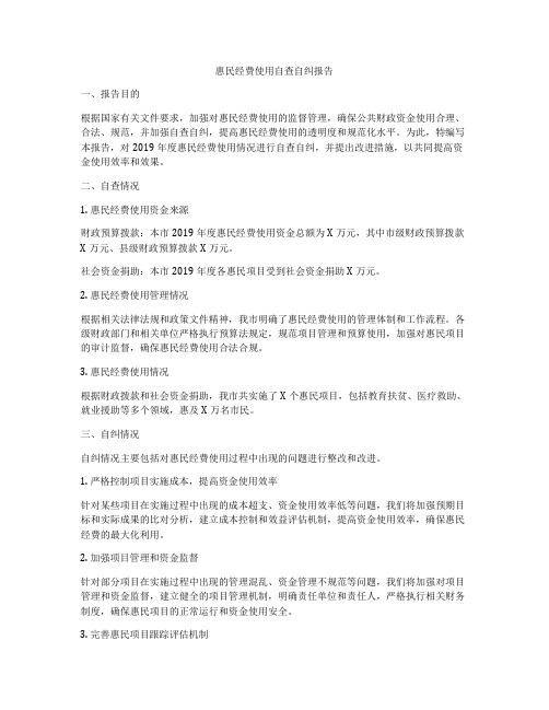 惠民经费使用自查自纠报告