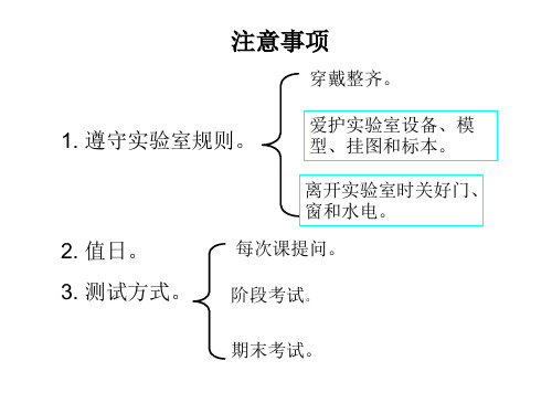 1绪论骨学总论、躯干骨new.ppt