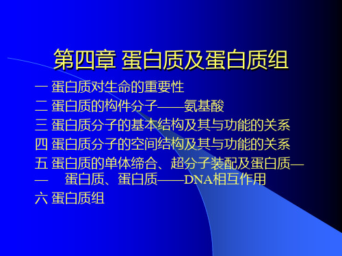 医学分子生物学 第四章 蛋白质及蛋白质组