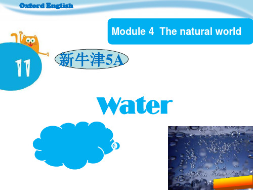 五年级英语上册Unit11《Water》课件(上海教育版)优秀版