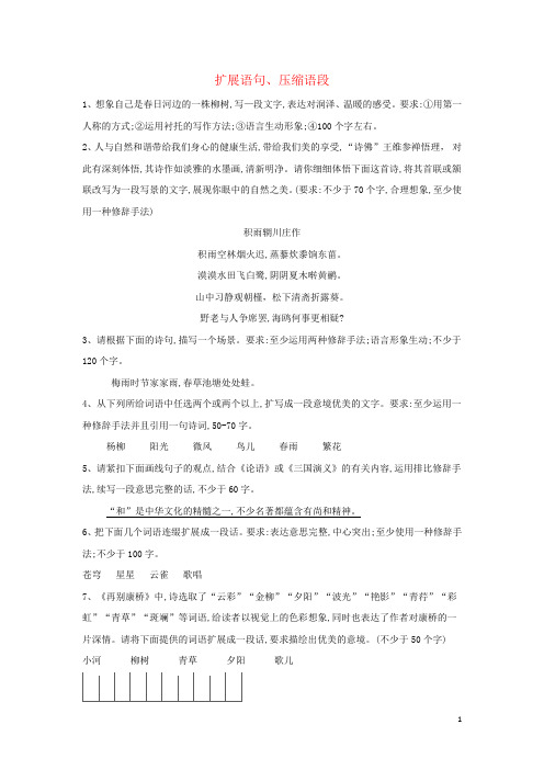 高考语文语言文字复习题 扩展语句压缩语段含解析