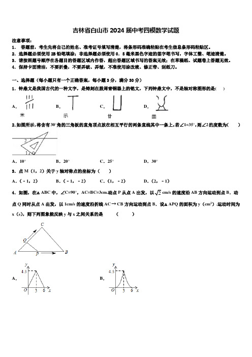 吉林省白山市2024届中考四模数学试题含解析