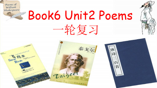 人教版(新课程标准)选修六：Unit2Poems复习课件