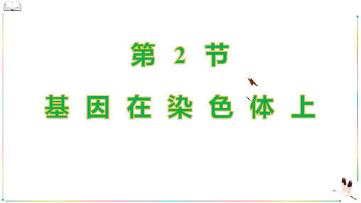 人教版高中生物必修二《基因在染色体上》基因和染色体的关系PPT课件