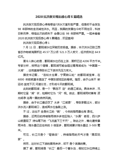 2020抗洪救灾观后感心得5篇精选