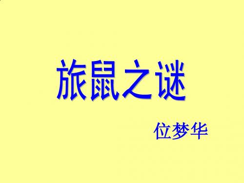 第13课 旅鼠之谜ppt