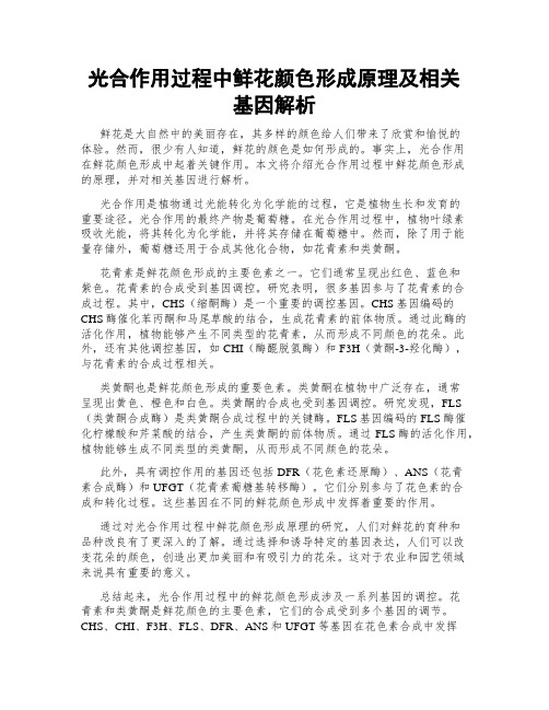 光合作用过程中鲜花颜色形成原理及相关基因解析