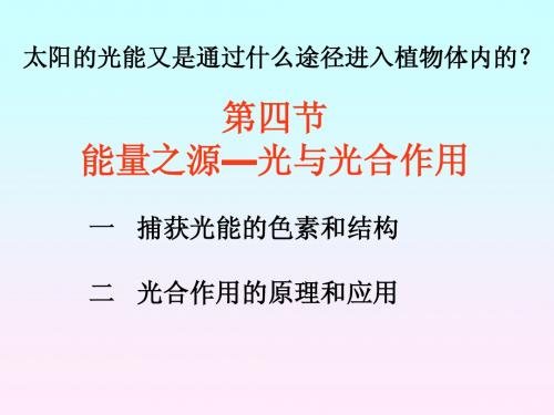 5.4.1捕获光能的色素和结构