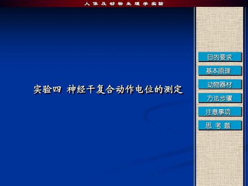 人体及动物生理学实验-神经干实验