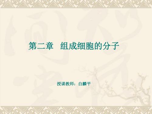 人教版高中生物必修1第2章《组成细胞的分子》  复习课件 (共40张PPT)