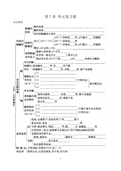 第七章 应用广泛的酸、碱、盐 单元复习课