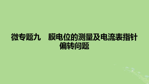 2025版高考生物一轮总复习选择性必修1微专题9膜电位的测量及电流表指针偏转问题课件