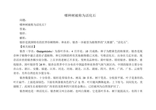 哪种树被称为活化石_参考资料