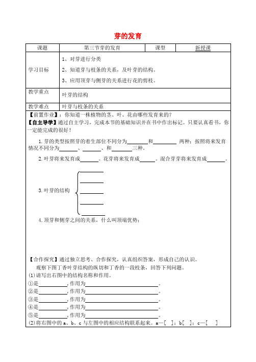 2020八年级生物上册 3.1.3 芽的发育学案(无答案)(新版)冀教版