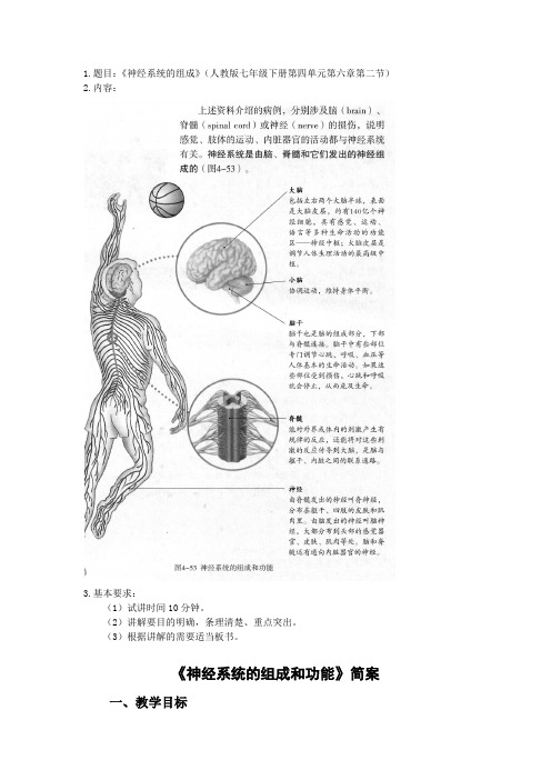 4神经系统的组成教案