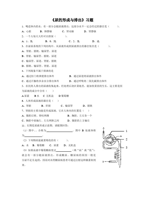 北师大版-生物-七年级下册-第11章 第二节《尿的形成与排出》作业