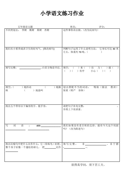 小学五年级语文课堂练习III (39)