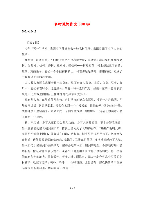 乡村见闻作文500字