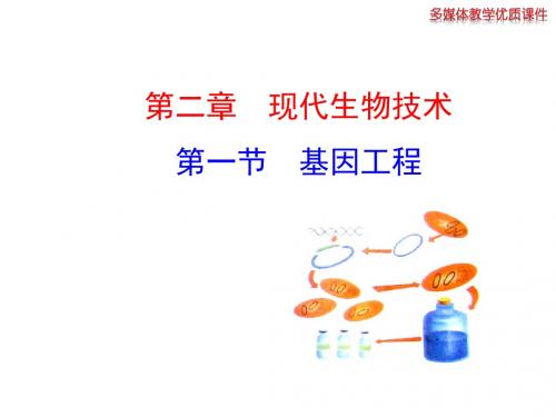 济南版第一节《基因工程》课件