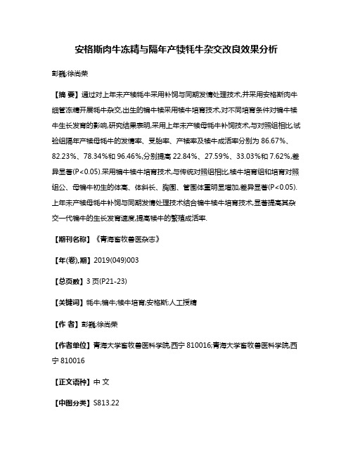 安格斯肉牛冻精与隔年产犊牦牛杂交改良效果分析