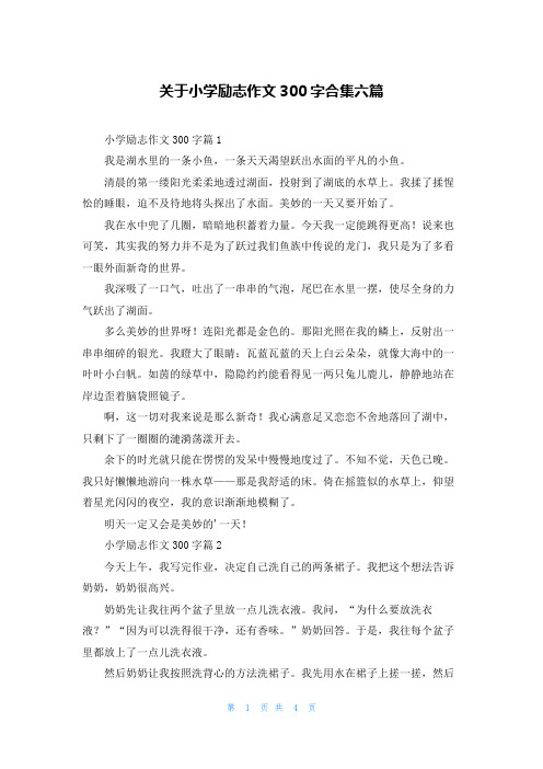 关于小学励志作文300字合集六篇