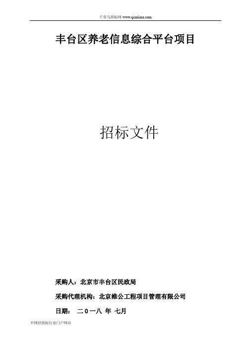 养老信息综合平台项目流标招投标书范本