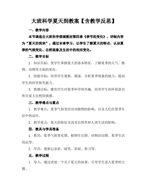 大班科学夏天到教案【含教学反思】(1)