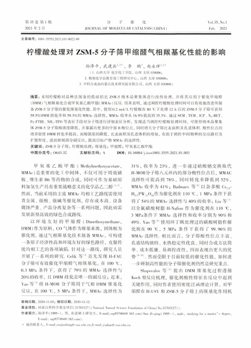 柠檬酸处理对ZSM-5分子筛甲缩醛气相羰基化性能的影响