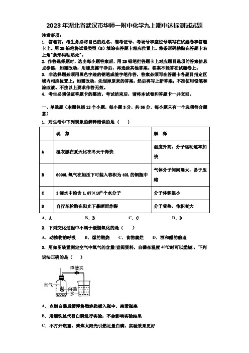 2023年湖北省武汉市华师一附中化学九上期中达标测试试题含解析